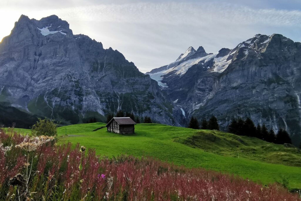 Der ultimative Grindelwald First Guide mit Grindelwald First Wanderungen, Bachalpsee, First Cliff Walk und vieles mehr.
