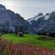 Grindelwald First (2023) Die 7 BESTEN Ausflugsideen & Orte