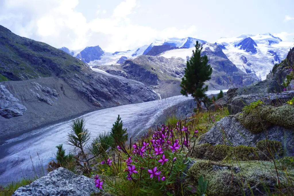 Ghiacciaio di Morteratsch - un ghiacciaio molto facile da raggiungere in Svizzera.