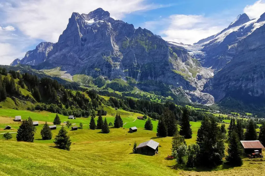 Views above Grindelwald First.