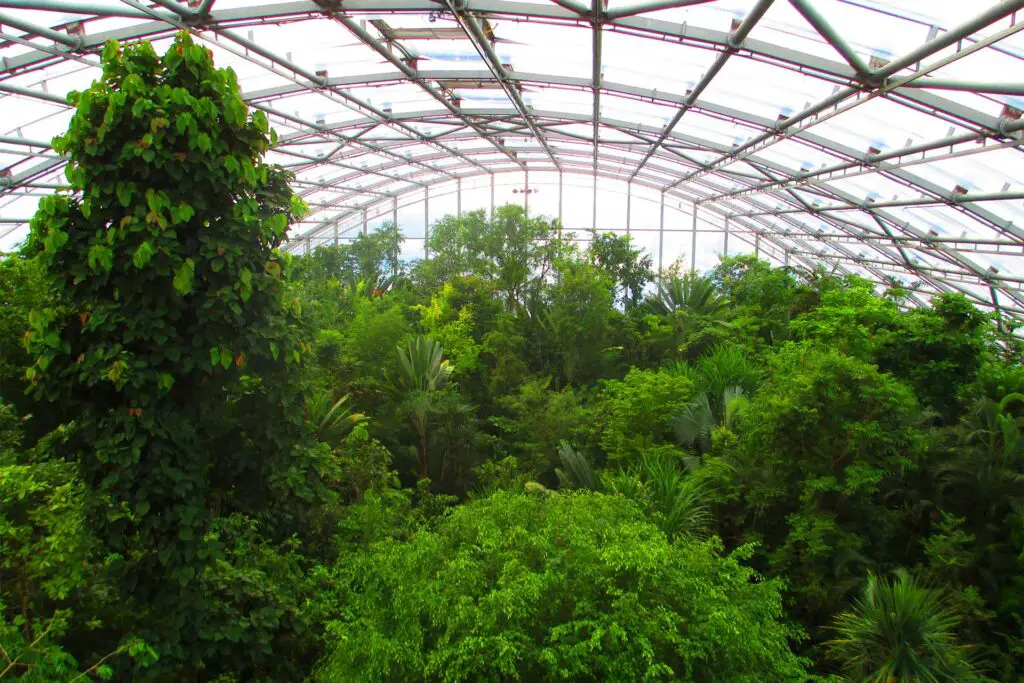 Masoala Hall in the Zurich Zoo.