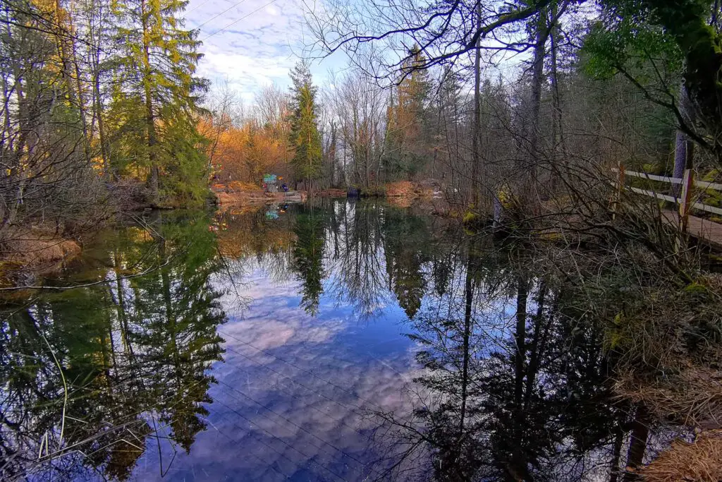 Il lago Goldseeli è molto vicino a Zurigo ed è un sogno naturale.