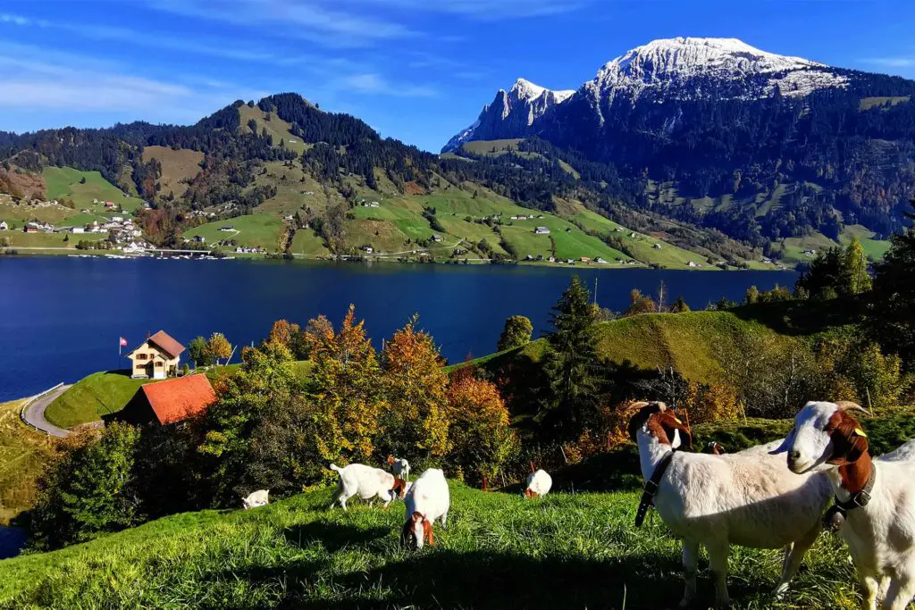 Le lac de Wägital est un excellent conseil depuis Zurich, en Suisse, et peut être atteint en seulement une heure.