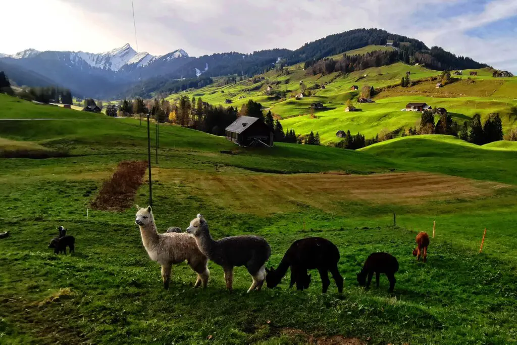 Stunning excursion from Zurich Switzerland is the Toggenburg.