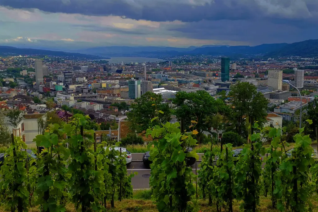 Waid offers the best view over the city of Zurich.