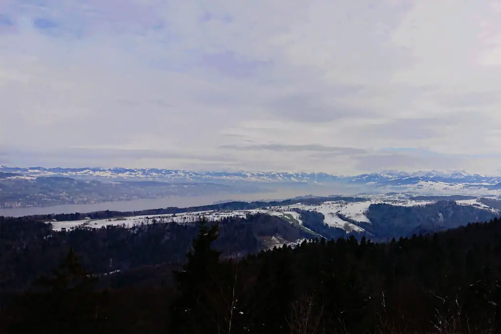 Sihlwald, la jungle de Zurich.