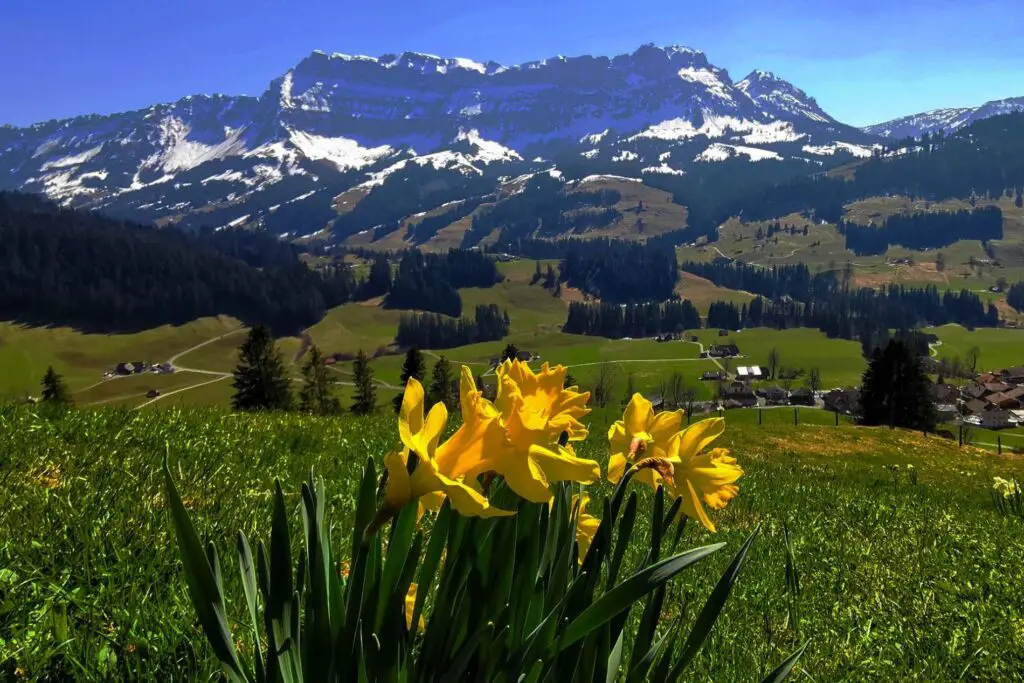 Hier findest du die besten Ausflugsziele im Emmental. Sei es eine Wanderung Im Kanton Bern oder der Besuch des Kambly Fabrikladen in Trubschachen. Oder die Emmentaler Schaukäserei.