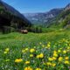 Zurigo, Svizzera: Le 44 MIGLIORI gite di un giorno, escursioni e luoghi da visitare