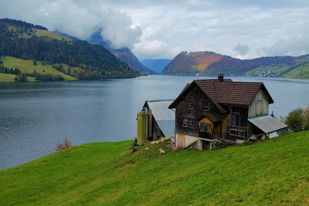 Lake Wägital is the perfect excursion destination near Zurich. Hiking around the Wägitalersee is especially rewarding.