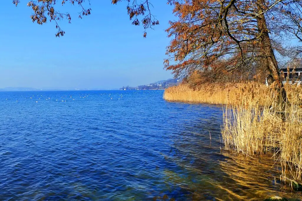 Lake Sempach in spring.