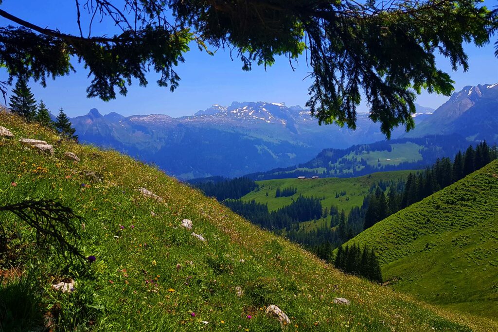 The hike from the Wägitalersee to the Gross Aubrig is a pearl in the canton of Schwyz. From here it goes on to the Sihlsee.