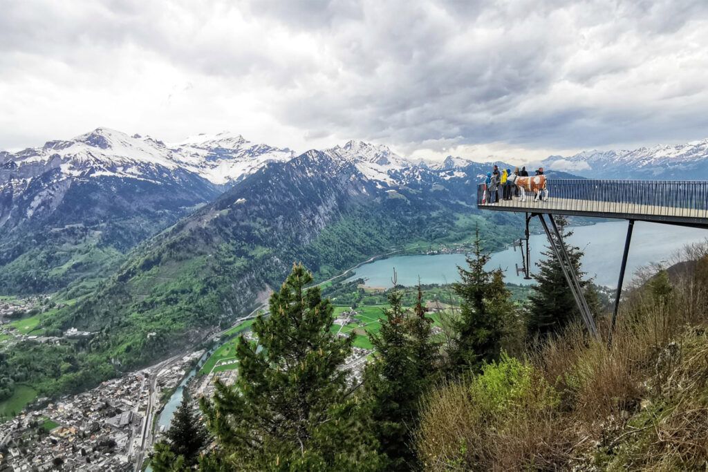 The Harder Kulm can be reached in only 10 minutes from Interlaken and is therefore a brilliant excursion tip.