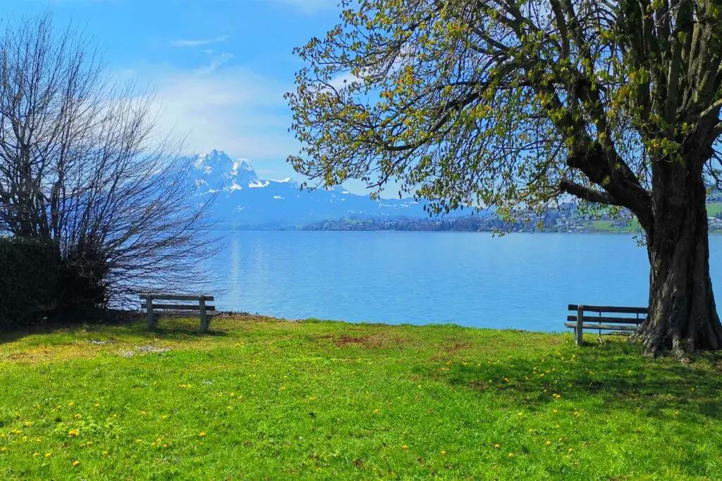 Greppen è una vera gemma nascosta al Lago dei Quattro Cantoni.