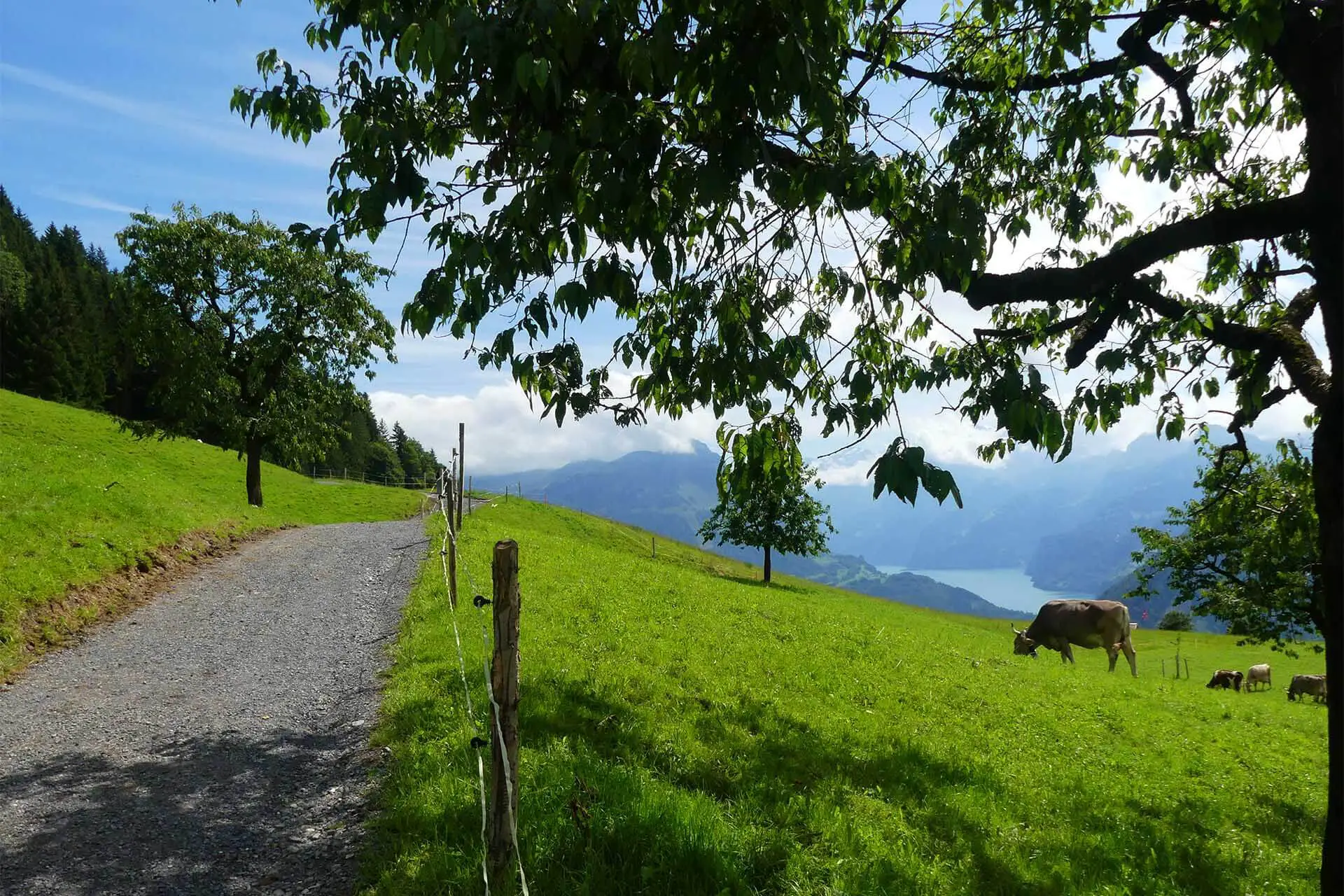 Der Engelstock Rundweg ist die aussichtsreichste Wanderung im Sattel-Hochstuckli.