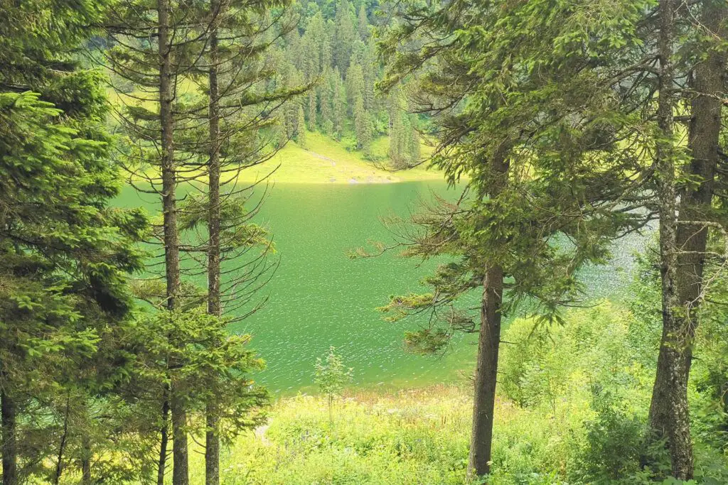 Der grüne Sämtisersee im Alpstein ist ein Höhepunkt.