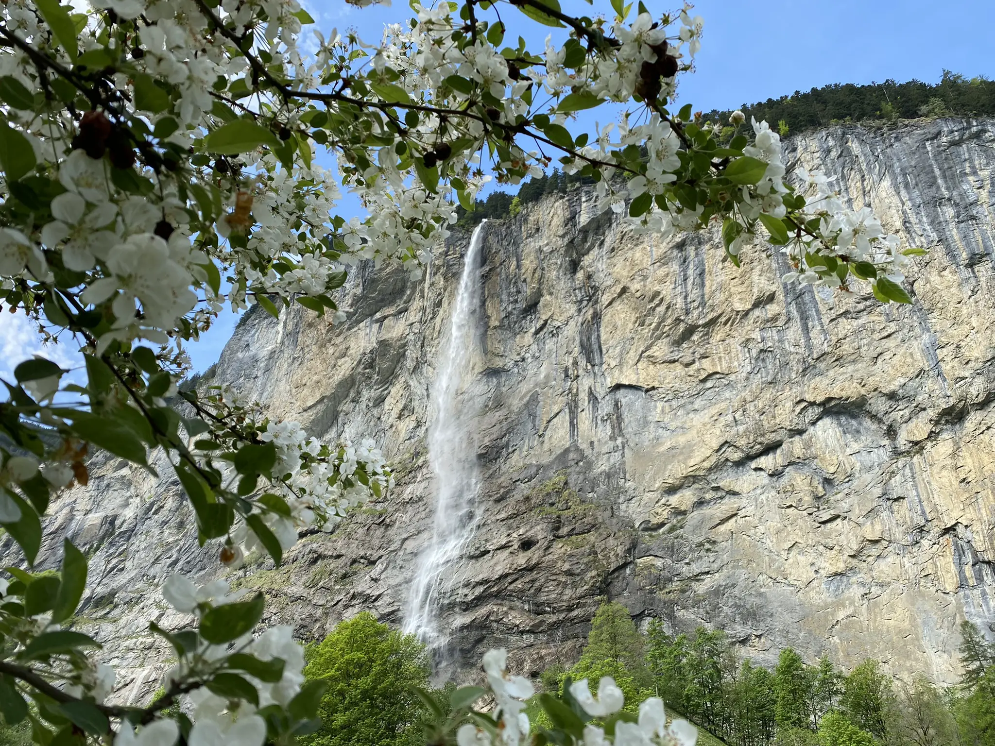 Staubbachfall - einer der schönsten Wasserfälle der Schweiz, hier im Frühling.