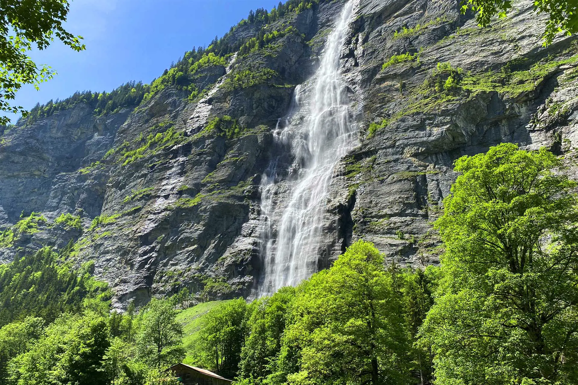 Mürrenbach Falls is the tallest waterfall in Switzerland.