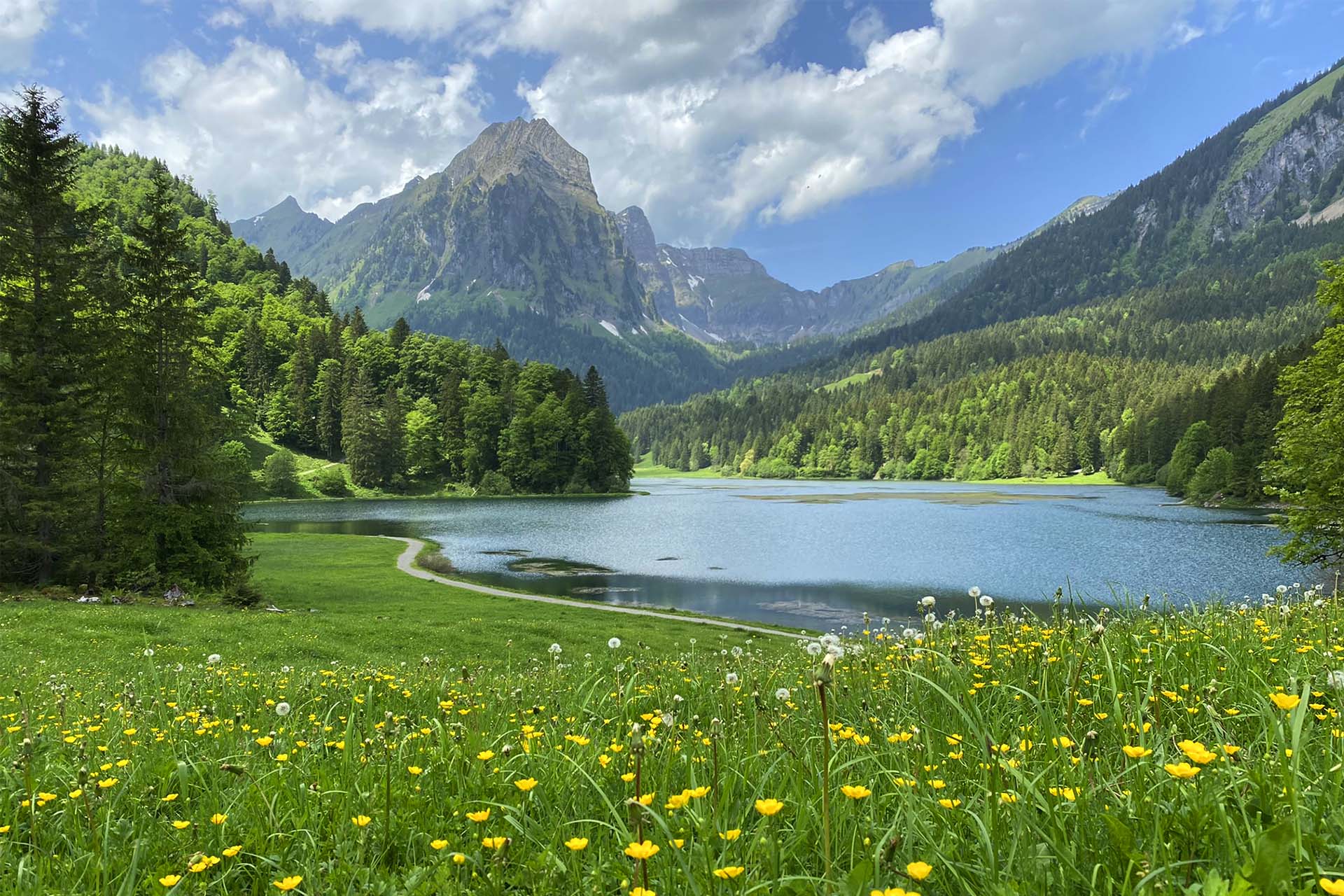 Lake Obersee, our favorite lake near Zurich.