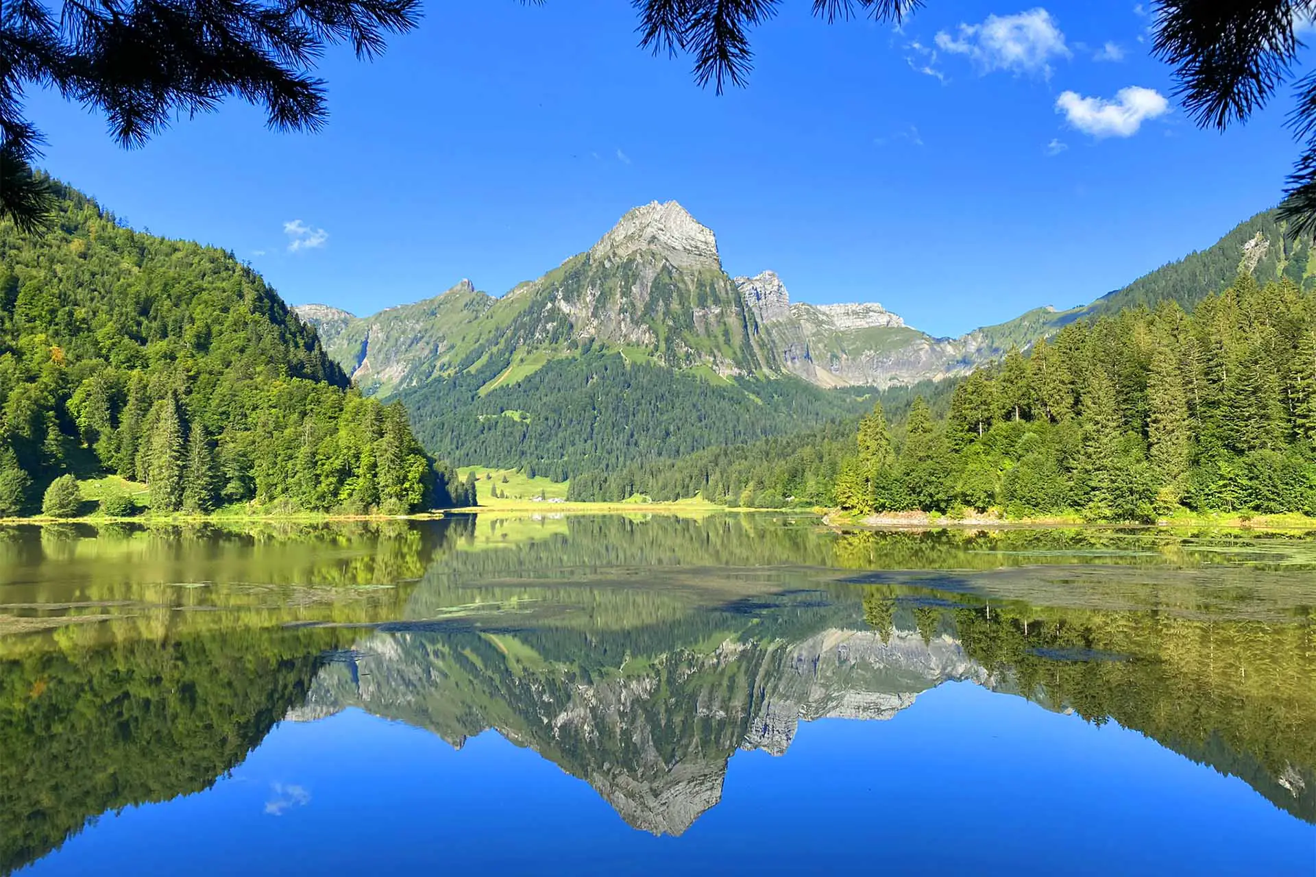 Stunning Lake Obersee
