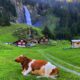 31 most beautiful waterfalls in Switzerland to visit 2023